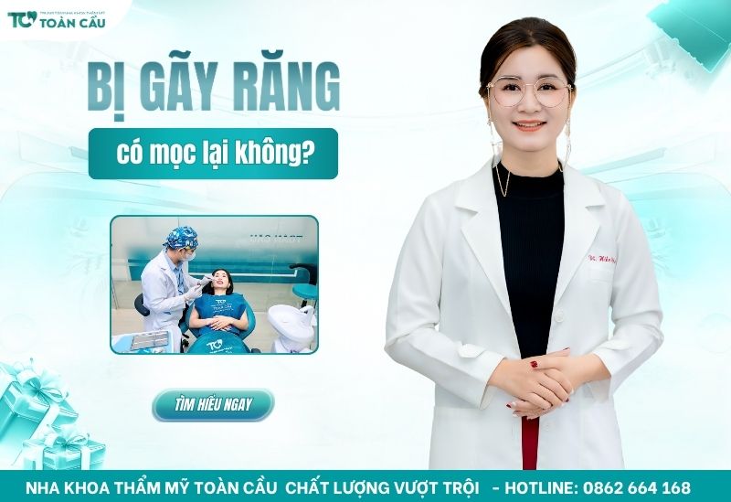 Người trưởng thành bị gãy răng có mọc lại không?